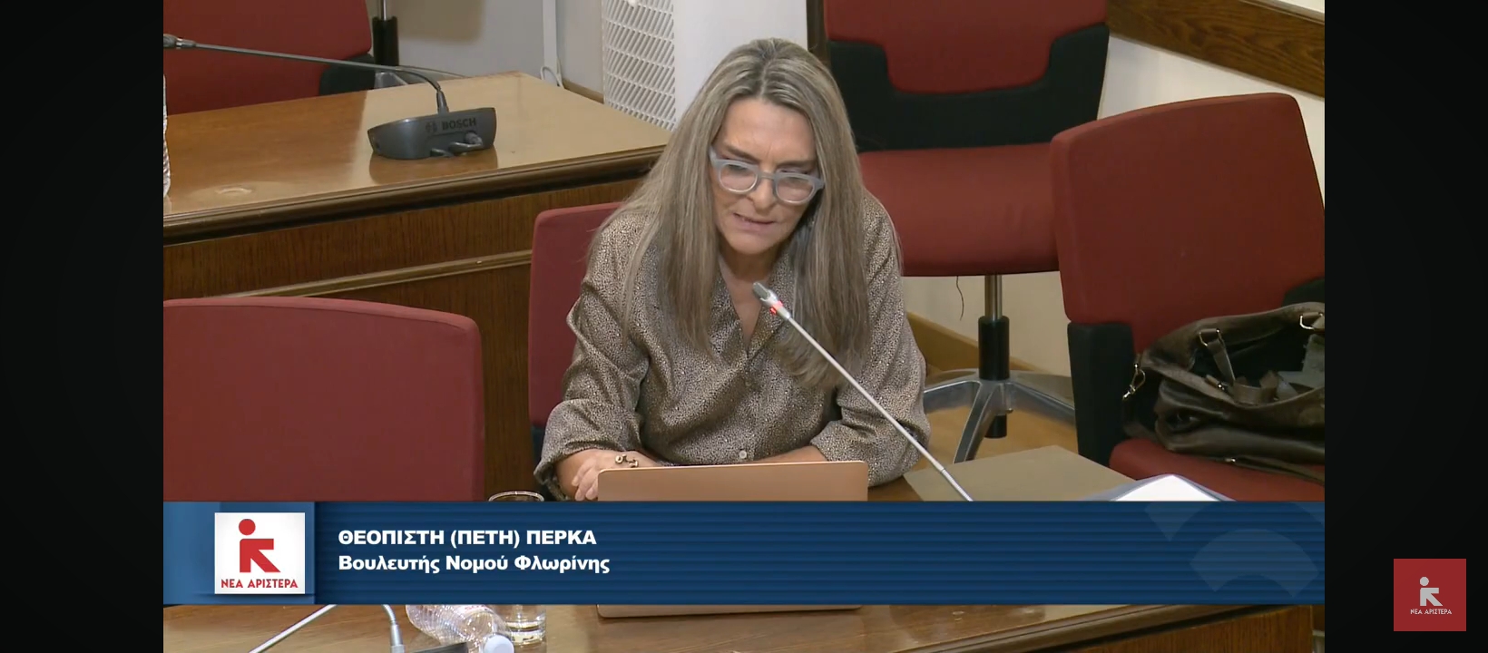 Πέτη Πέρκα: Διάλυση της δημόσιας ΥΠΑ – ιδιωτικοποίηση των αερομεταφορών